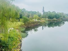 -常德桃花源景区