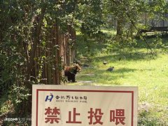 -合肥野生动物园