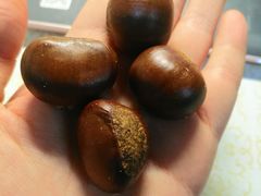 -隆美栗园(活力城店)