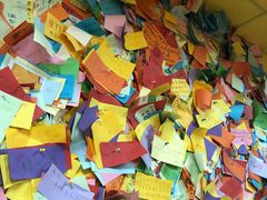 -志龙皇冠吃货椰子铺