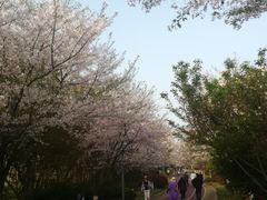 -尚贤河湿地