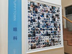-芭比堂动物医院·犬猫全科·异宠专科(雁塔分院)