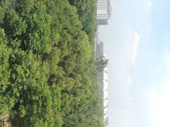 -东南大学(九龙湖校区)