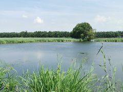 -白渔泡湿地公园