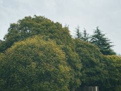 -天生桥景区