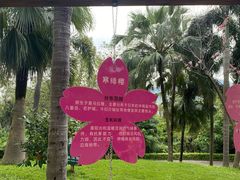 -深圳野生动物园