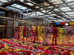 -吉祥圣雪藏餐
