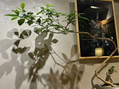 -本处·素食·融合料理(南油店)