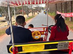 -嘉北郊野公园