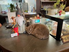 -MIMO CAFE(沙头角店)