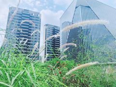 -华东理工大学徐汇校区-图书馆