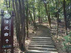 -大屏嶂森林公园