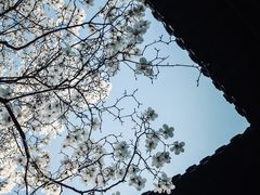 -扬州古运河