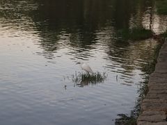 -美兰湖景区