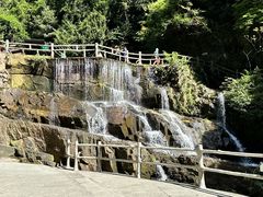 -鼎湖山风景区
