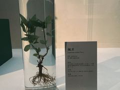-深圳博物馆(古代艺术馆)