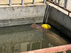 -青藏高原野生动物园