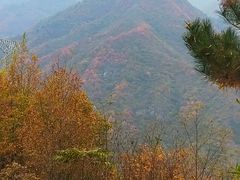 -秦岭风景区