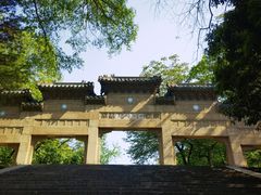 -灵谷景区