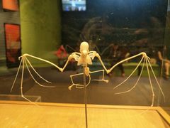 -香港科学馆
