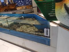 水产区-帝企鹅自助餐厅•儿童岛•真企鹅(长隆企鹅酒店)