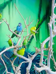 -未来动物城动物主题公园(大悦城店)