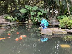 -青青世界