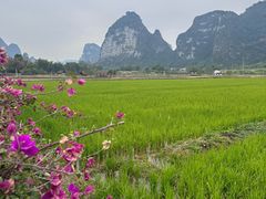 -明仕田园