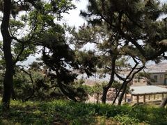 -青岛第二海水浴场