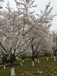 -玄武湖景区-情侣园游乐场