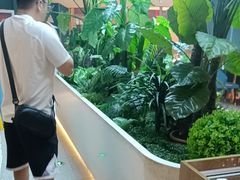-悦海·家宴·冰花皮皮虾大锅贴(宝龙店)