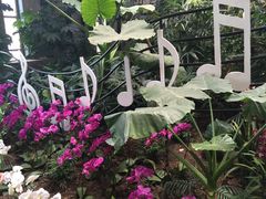 兰花展2/9-沈阳植物园