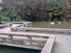 -中山市树木园