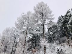 -天女山森林公园