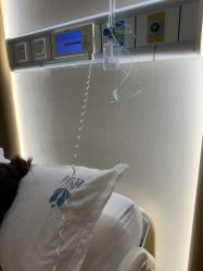 -广州紫馨整形外科医院