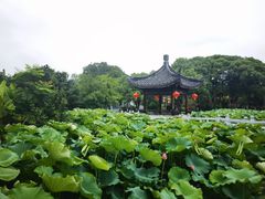 -丝绸小镇荻港古村
