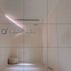 -紫御国际抗衰ZOE ANTI AGING