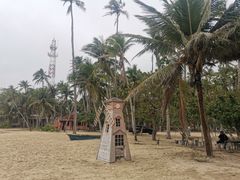 -东郊椰林
