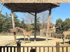 -上海野生动物园