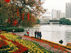 -荔湾湖公园