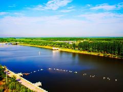 -黄海国家森林公园