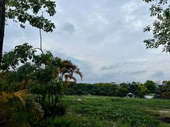 -广东花都香草世界旅游度假区