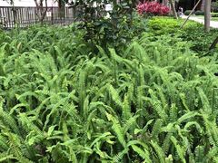 -深圳市坪山区中山小学