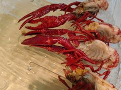 -红盔甲·小龙虾(天钥桥店)