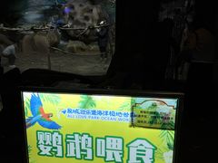 -泉城欧乐堡海洋极地世界