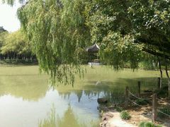 -瀛洲公园