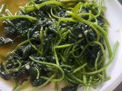 -麻奢鸽农庄·梦里水乡