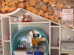 -极橙儿童齿科矫正中心(奥城店)
