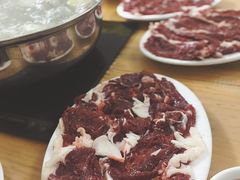 -原野牛肉岛