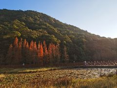 -广州市石门国家森林公园